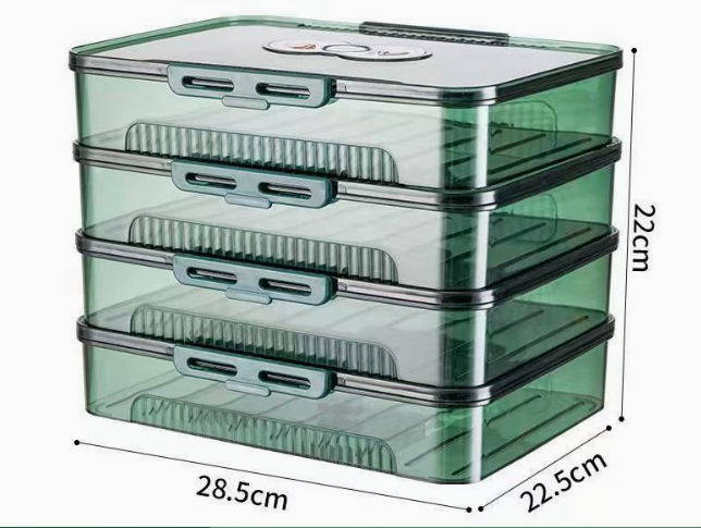 Transparent Dumpling Storage Box