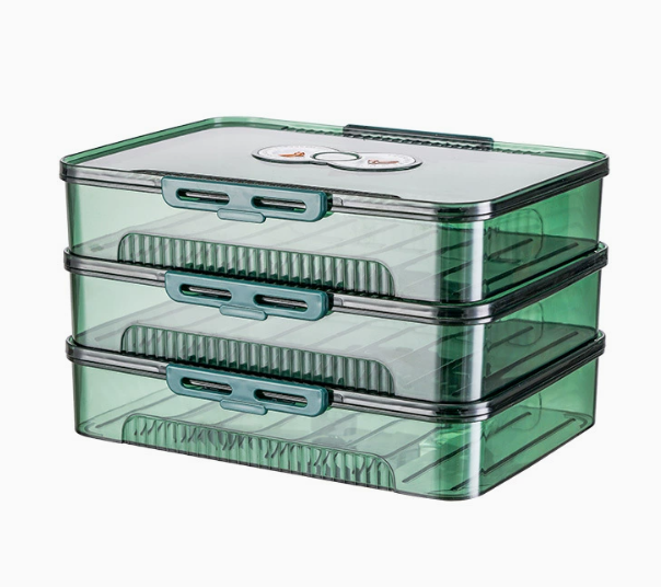 Transparent Dumpling Storage Box